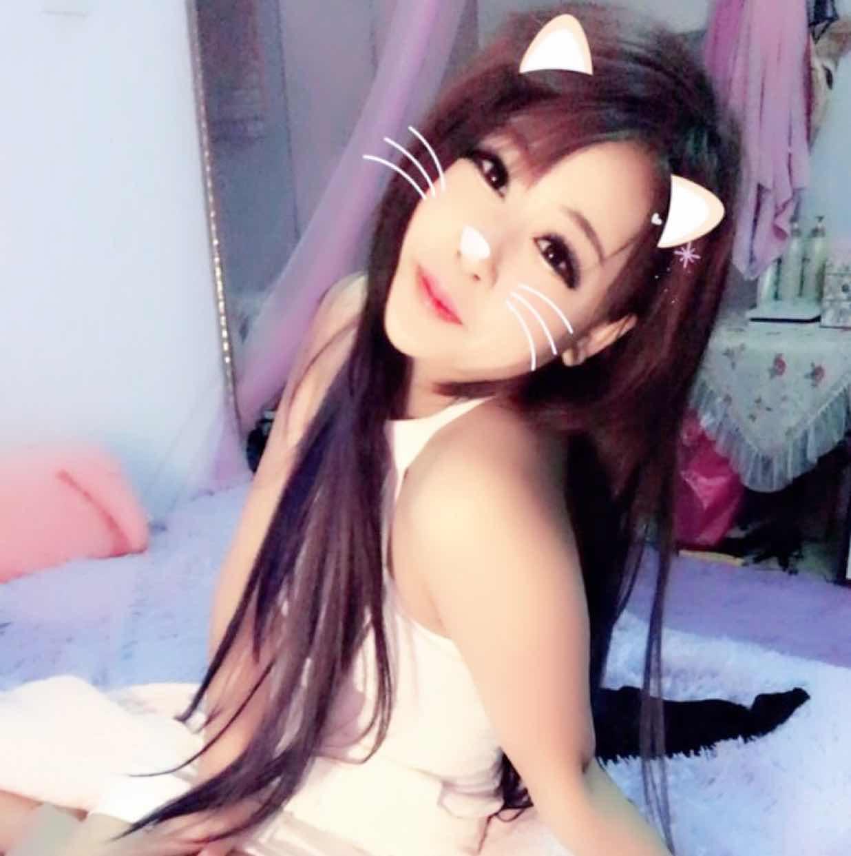 小野猫 小野猫